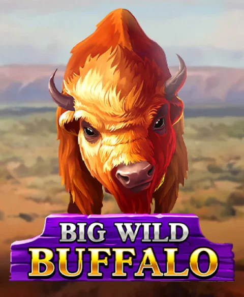Play Big Wild Buffalo at Blazzio Casino